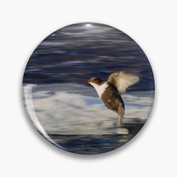 Item preview, Breaks on. White-throated dipper designed and sold by Jouko Lehto Photography.