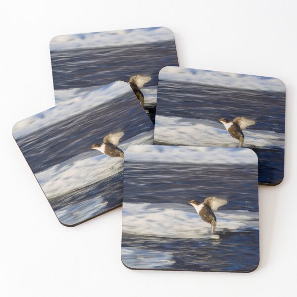 Item preview, Breaks on. White-throated dipper designed and sold by Jouko Lehto Photography.