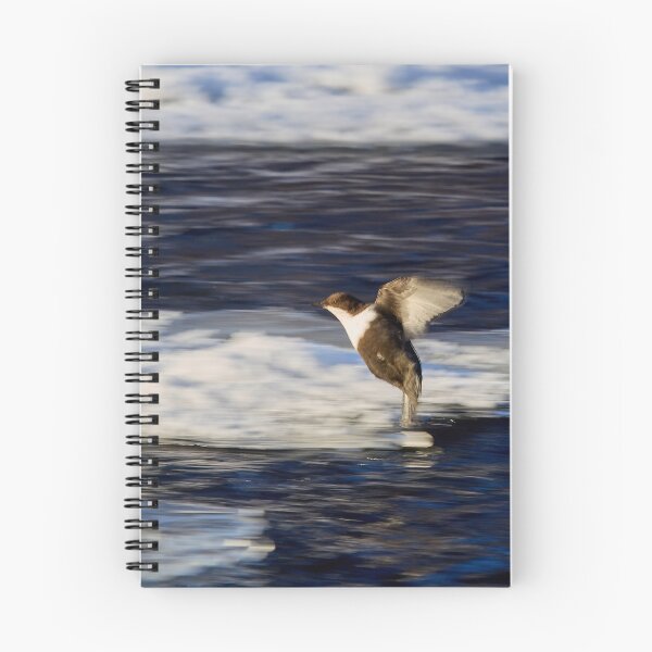 Item preview, Breaks on. White-throated dipper designed and sold by Jouko Lehto Photography.