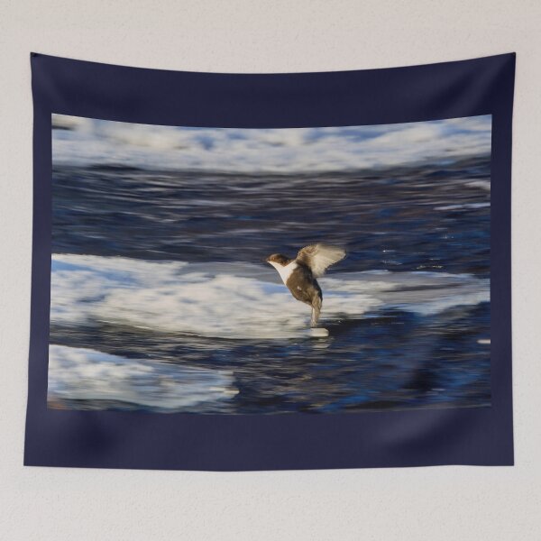 Item preview, Breaks on. White-throated dipper designed and sold by Jouko Lehto Photography.