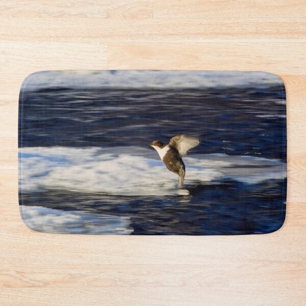 Item preview, Breaks on. White-throated dipper designed and sold by Jouko Lehto Photography.