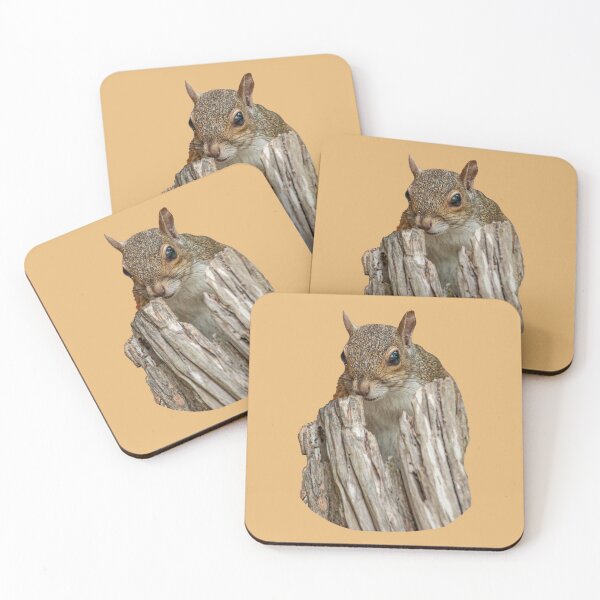 Item preview, Peek a boo Grey Squirrel designed and sold by Dalyndigital Photography.