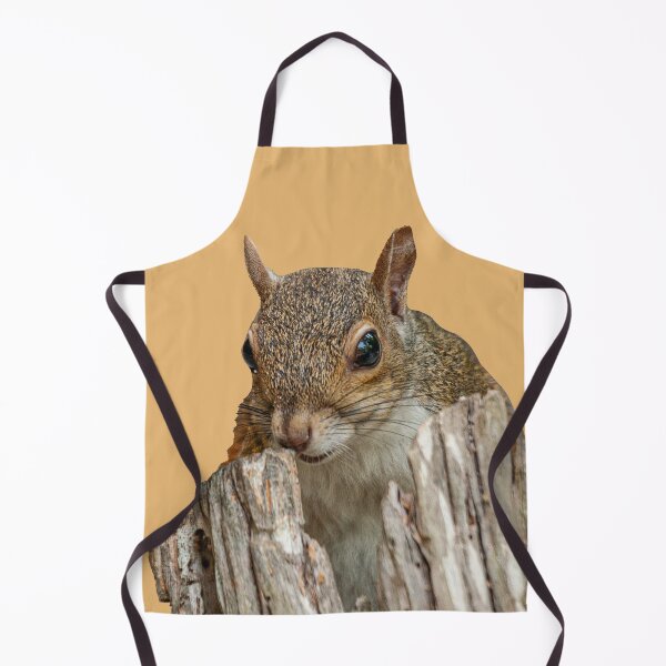 Item preview, Peek a boo Grey Squirrel designed and sold by Dalyndigital Photography.