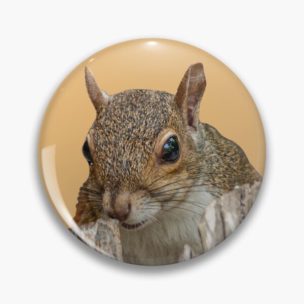Item preview, Peek a boo Grey Squirrel designed and sold by Dalyndigital Photography.