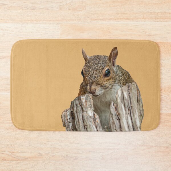 Item preview, Peek a boo Grey Squirrel designed and sold by Dalyndigital Photography.