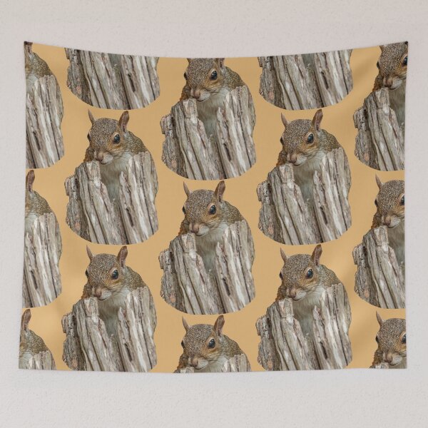 Item preview, Peek a boo Grey Squirrel designed and sold by Dalyndigital Photography.