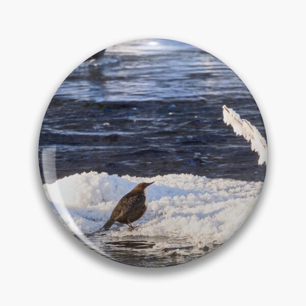 Item preview, Double. White-throated dipper designed and sold by Jouko Lehto Photography.