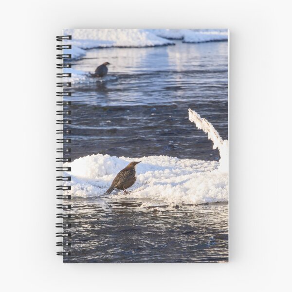 Item preview, Double. White-throated dipper designed and sold by Jouko Lehto Photography.