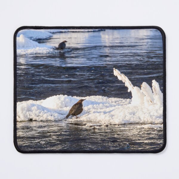 Item preview, Double. White-throated dipper designed and sold by Jouko Lehto Photography.