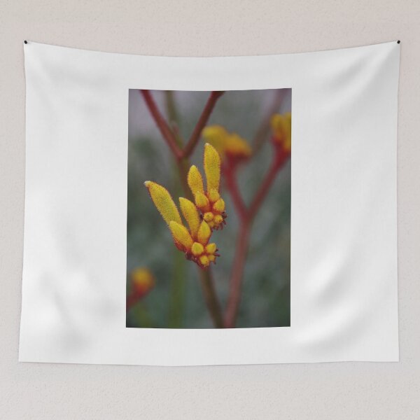 Item preview, Anigozanthos - Cat's Paw designed and sold by lezvee.