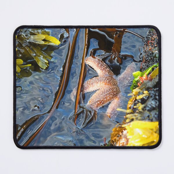 Item preview, Starfish designed and sold by Karell Faucher.