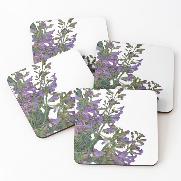 Item preview, Purple Lobelia cardinalis, the cardinal flowers in full bloom designed and sold by VeenaNair23.