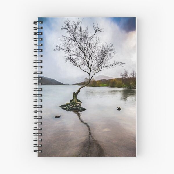 Item preview, Lone Tree Llanberis Lake designed and sold by AJEvans.