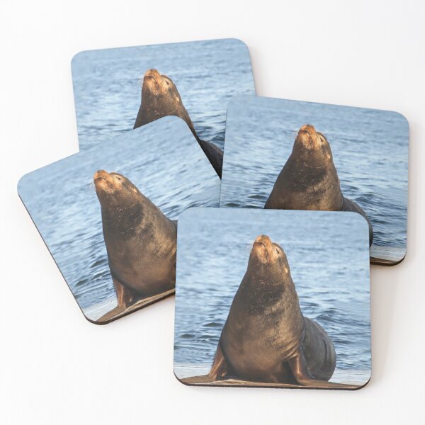 Item preview, King of the Sea Lions, La Jolla, California designed and sold by heatherfriedman.