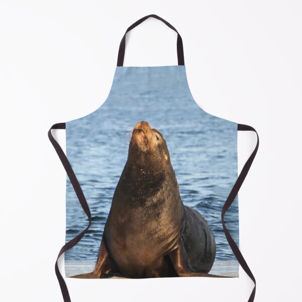Item preview, King of the Sea Lions, La Jolla, California designed and sold by heatherfriedman.