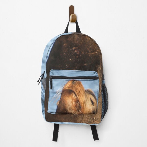 Item preview, King of the Sea Lions, La Jolla, California designed and sold by heatherfriedman.