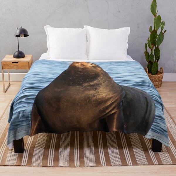 Item preview, King of the Sea Lions, La Jolla, California designed and sold by heatherfriedman.