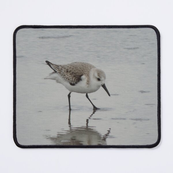 Item preview, Sandpiper reflection  designed and sold by Jmb67.