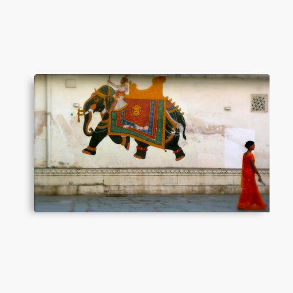 the elephant on the wall Canvas Print