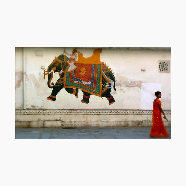 the elephant on the wall Photographic Print