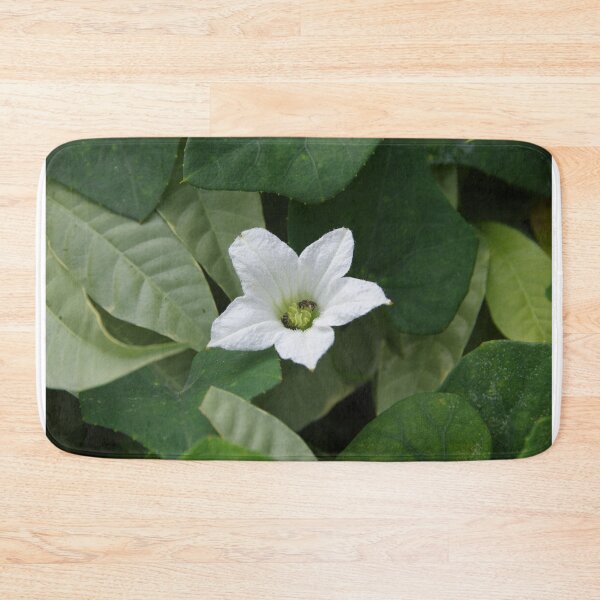 Item preview, Scarlet Gourd (Coccinia grandis) Flower Blooming in Manila, Philippines designed and sold by The Botanical Jason.