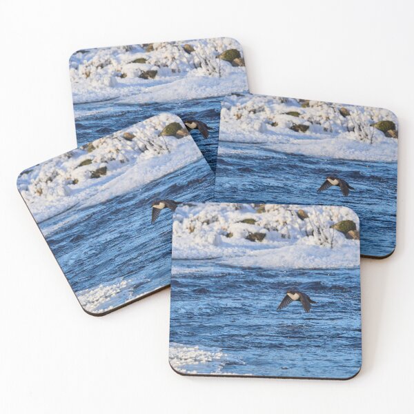 Item preview, White-throated dipper flying over the stream designed and sold by Jouko Lehto Photography.