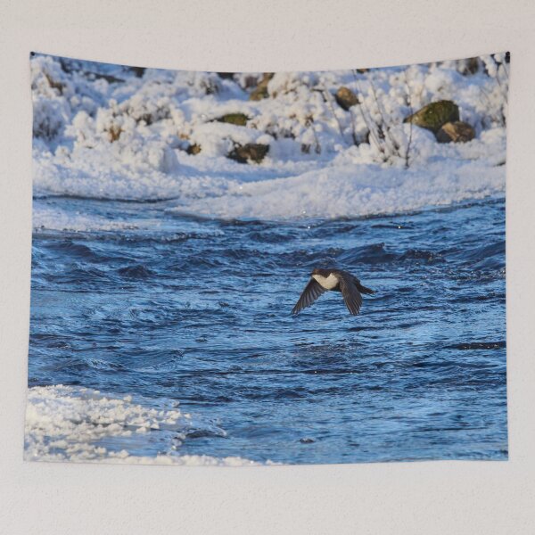 Item preview, White-throated dipper flying over the stream designed and sold by Jouko Lehto Photography.