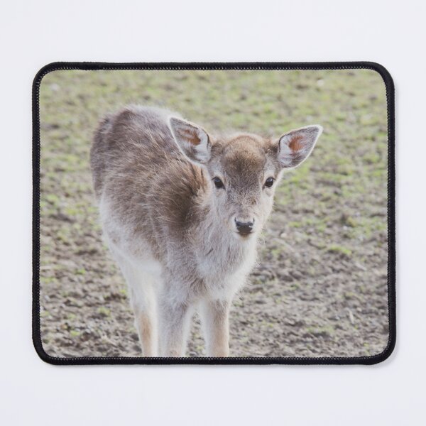 Item preview, Fawn Bella #1 #wall #art  designed and sold by Anita's & Bella's Art.