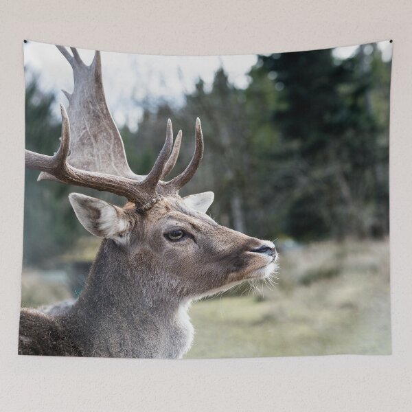 Item preview, Stag in the Mountain Forest #1 #wall #art  designed and sold by Anita's & Bella's Art.