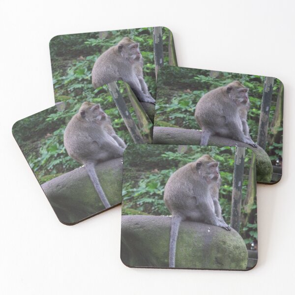 Item preview, Common Long-tailed Macaque (Macaca fascicularis ssp. fascicularis) in Ubud Bali, Indonesia designed and sold by The Botanical Jason.