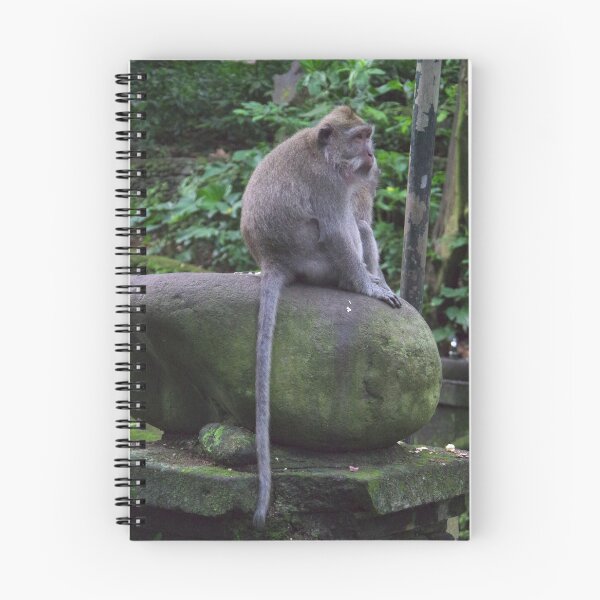 Item preview, Common Long-tailed Macaque (Macaca fascicularis ssp. fascicularis) in Ubud Bali, Indonesia designed and sold by The Botanical Jason.
