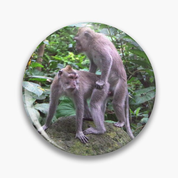 Item preview, Common Long-tailed Macaque (Macaca fascicularis ssp. fascicularis) in Ubud Bali, Indonesia designed and sold by The Botanical Jason.