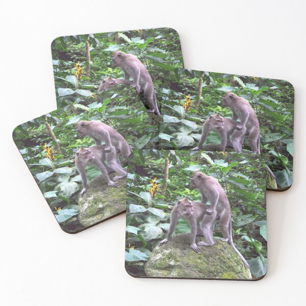 Item preview, Common Long-tailed Macaque (Macaca fascicularis ssp. fascicularis) in Ubud Bali, Indonesia designed and sold by The Botanical Jason.