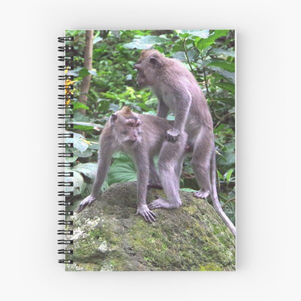 Item preview, Common Long-tailed Macaque (Macaca fascicularis ssp. fascicularis) in Ubud Bali, Indonesia designed and sold by The Botanical Jason.