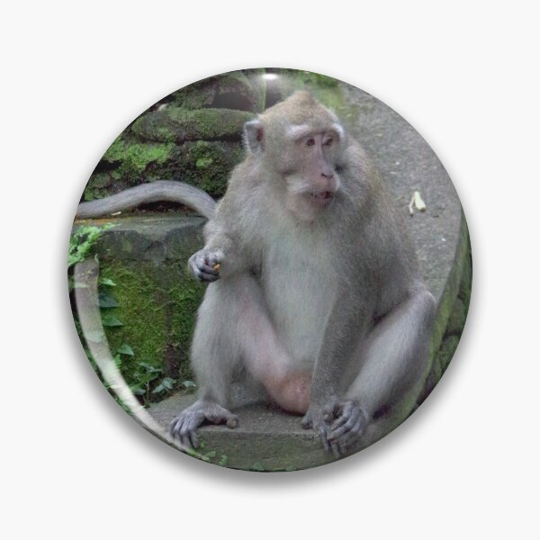 Item preview, Common Long-tailed Macaque (Macaca fascicularis ssp. fascicularis) in Ubud Bali, Indonesia designed and sold by The Botanical Jason.