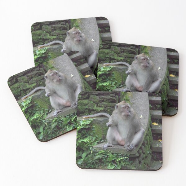Item preview, Common Long-tailed Macaque (Macaca fascicularis ssp. fascicularis) in Ubud Bali, Indonesia designed and sold by The Botanical Jason.