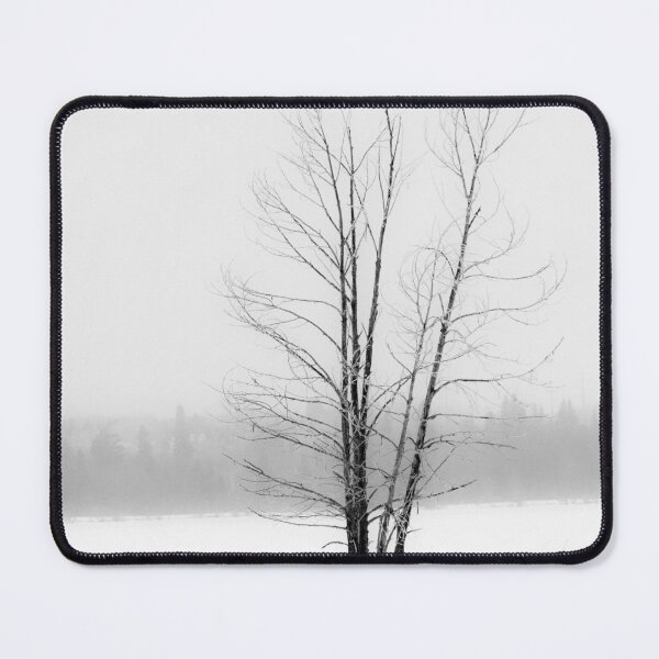 Item preview, Minimalist tree in a winter storm designed and sold by CanadianWild418.
