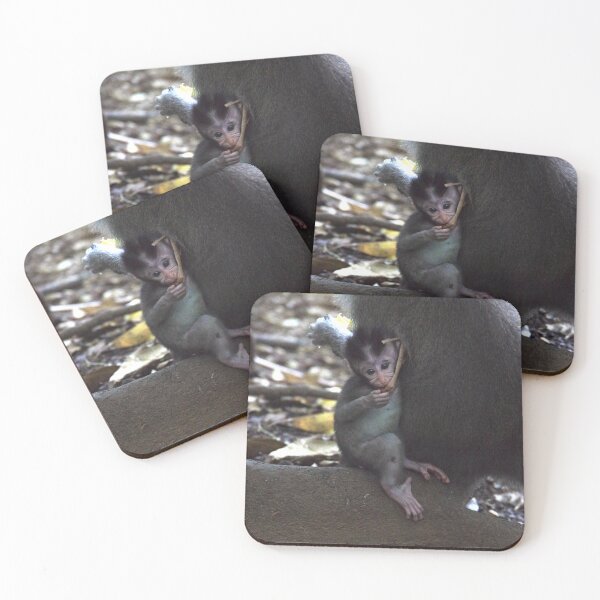 Item preview, Common Long-tailed Macaque (Macaca fascicularis ssp. fascicularis) in Ubud Bali, Indonesia designed and sold by The Botanical Jason.