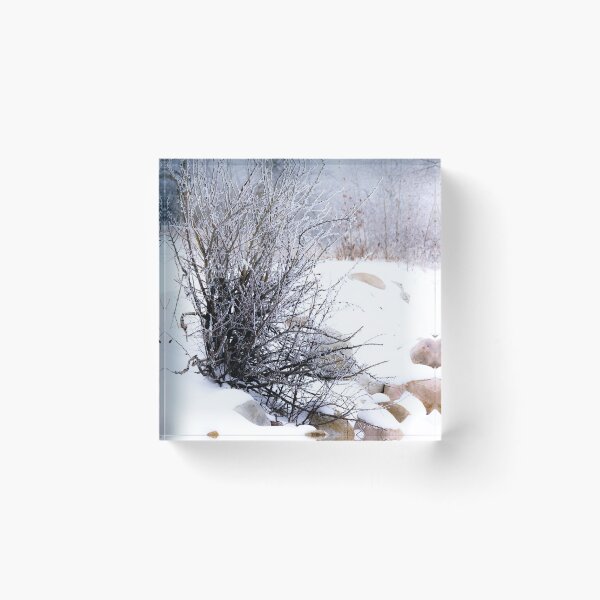 Item preview, Winter scene designed and sold by CanadianWild418.