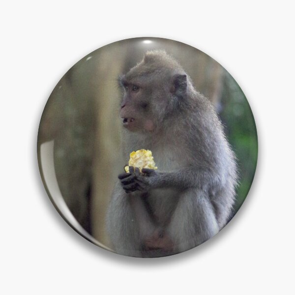 Item preview, Common Long-tailed Macaque (Macaca fascicularis ssp. fascicularis) in Ubud Bali, Indonesia designed and sold by The Botanical Jason.