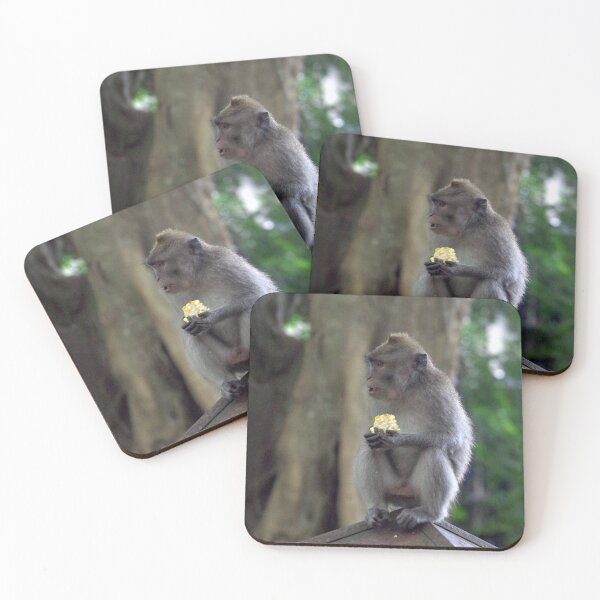 Item preview, Common Long-tailed Macaque (Macaca fascicularis ssp. fascicularis) in Ubud Bali, Indonesia designed and sold by The Botanical Jason.