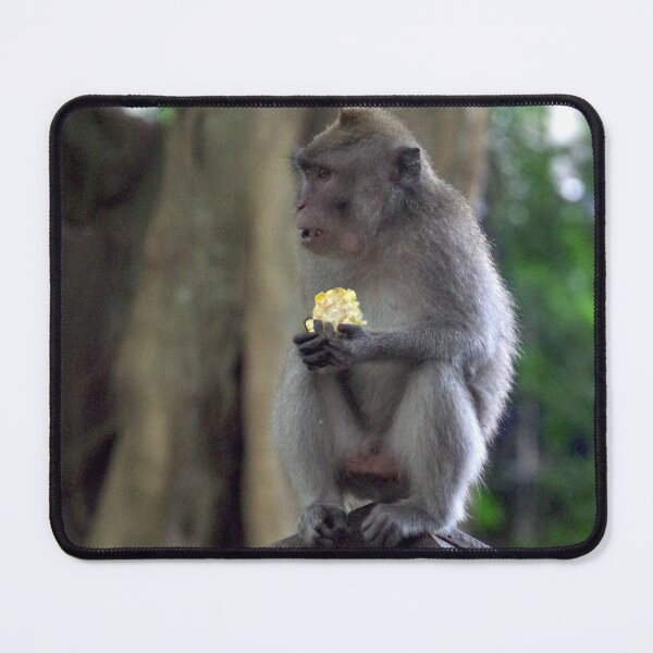 Item preview, Common Long-tailed Macaque (Macaca fascicularis ssp. fascicularis) in Ubud Bali, Indonesia designed and sold by The Botanical Jason.