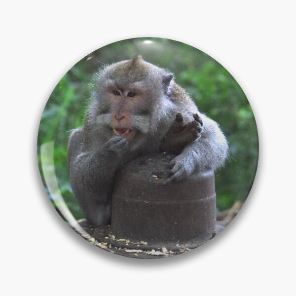 Item preview, Common Long-tailed Macaque (Macaca fascicularis ssp. fascicularis) in Ubud Bali, Indonesia designed and sold by The Botanical Jason.