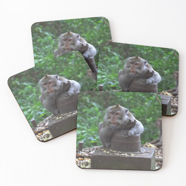 Item preview, Common Long-tailed Macaque (Macaca fascicularis ssp. fascicularis) in Ubud Bali, Indonesia designed and sold by The Botanical Jason.