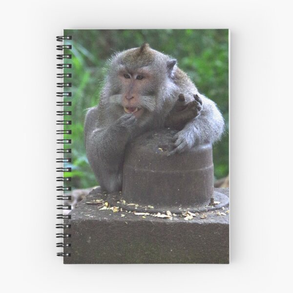 Item preview, Common Long-tailed Macaque (Macaca fascicularis ssp. fascicularis) in Ubud Bali, Indonesia designed and sold by The Botanical Jason.