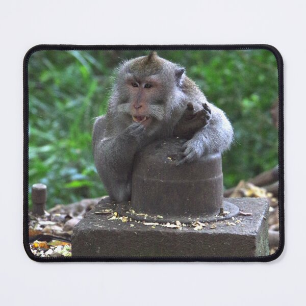 Item preview, Common Long-tailed Macaque (Macaca fascicularis ssp. fascicularis) in Ubud Bali, Indonesia designed and sold by The Botanical Jason.