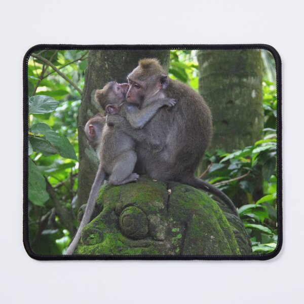 Item preview, Common Long-tailed Macaque (Macaca fascicularis ssp. fascicularis) in Ubud Bali, Indonesia designed and sold by The Botanical Jason.