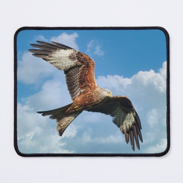 Item preview, Soaring Red Kite Bird of Prey designed and sold by Martyn R Arnold Fine Art Nature & Landscape Photography.