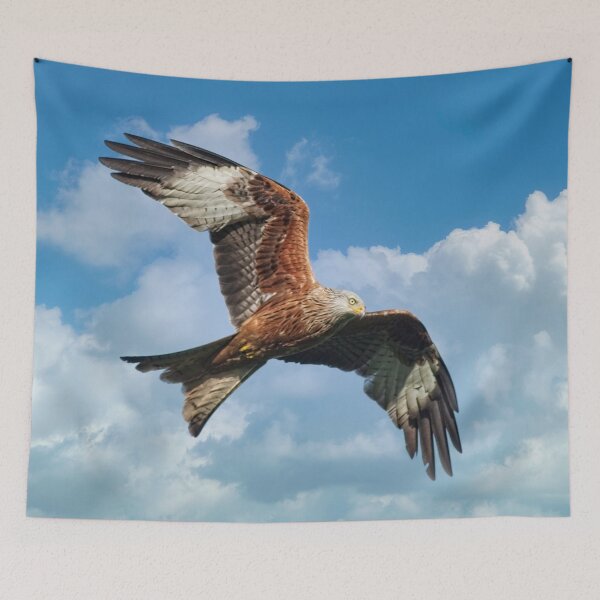 Item preview, Soaring Red Kite Bird of Prey designed and sold by Martyn R Arnold Fine Art Nature & Landscape Photography.