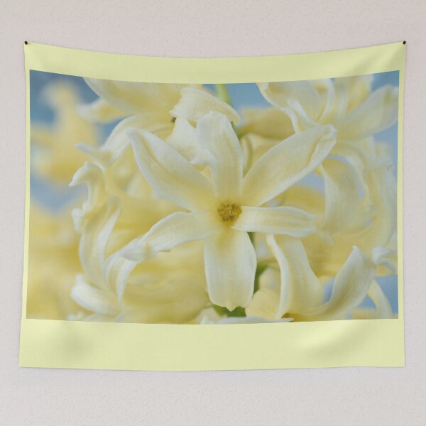 Item preview, Hyacinthus orientalis 'Gypsy Princess' Hyacinth designed and sold by Chris Burrows.